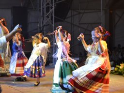 Festival de Folkore en Mula